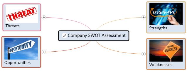 Company SWOT analysis